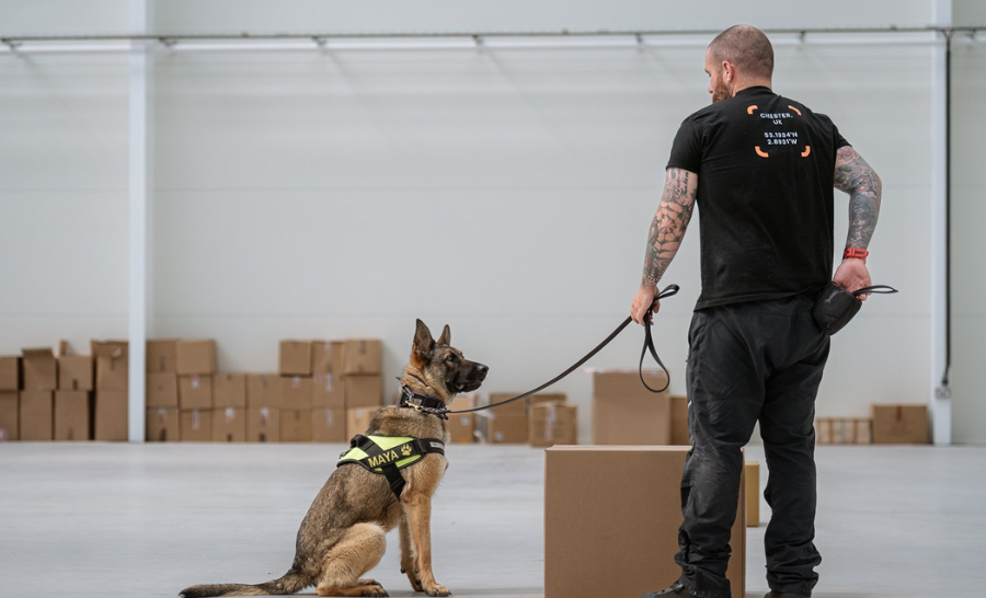Service Provider of Cargo Dog Training Service in New Delhi, Delhi, India.